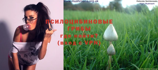 меф VHQ Дмитриев