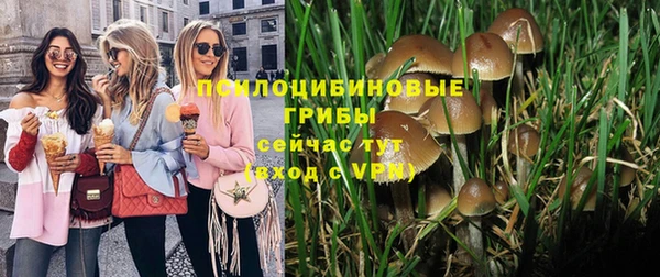 соль курить ск Дмитровск