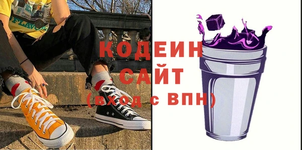 apvp Ельня