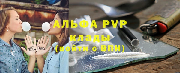 хмурый Касимов