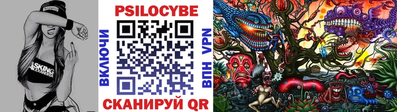 блэк спрут ТОР  Рузаевка  Псилоцибиновые грибы Cubensis 
